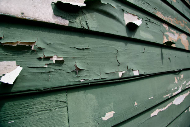 Best Scrap Metal Removal  in Punta Rassa, FL