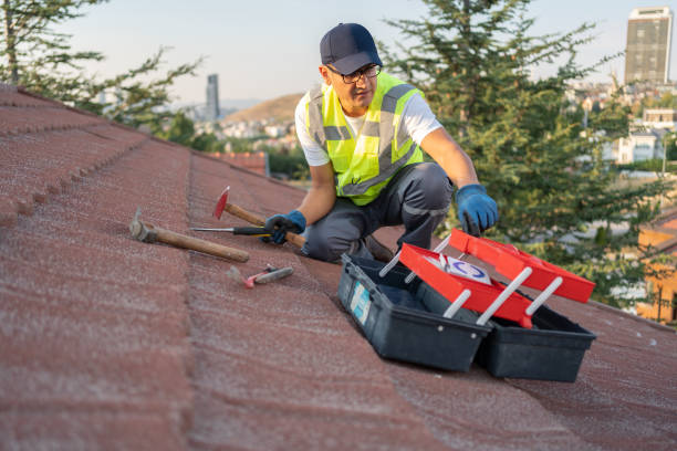 Best Construction Debris Removal  in Punta Rassa, FL
